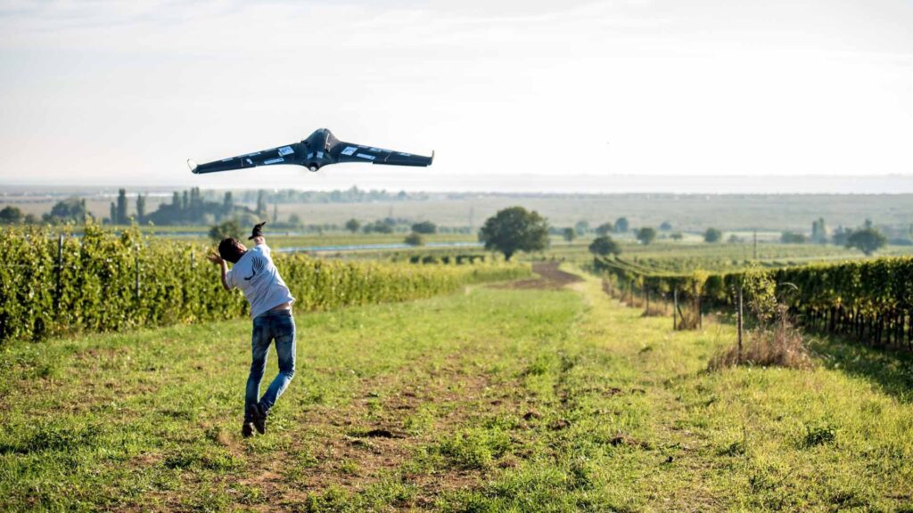Spezialdrohne, Winzerfalke, beim Flugstart über Weingarten
