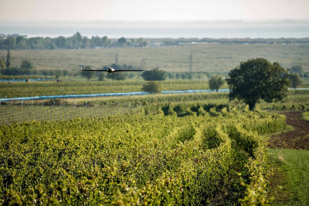 Spezialdrohne mit Soundmodel, Winzerfalke, beim autonomen Flug über den Weingarten